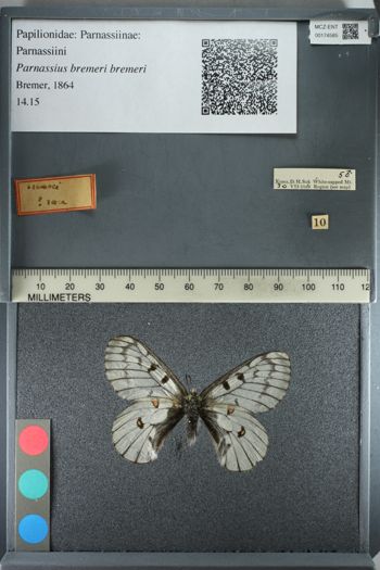 Media type: image;   Entomology 174585